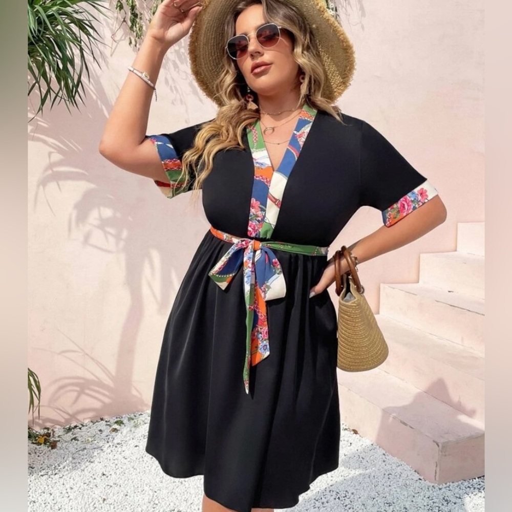 Plus Contrast Panel Trim Belted A-line Dress
